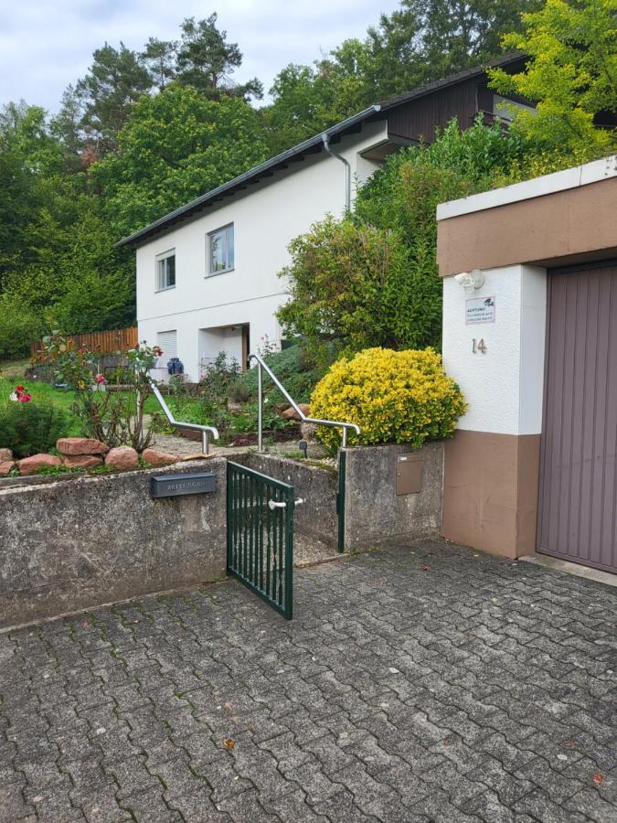 Apartment Betzenberg, Nur Netflix Kaiserslautern Exterior foto